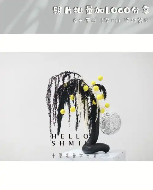 梦幻西游私服_梦幻SF发布站
