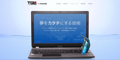 TGL帝技爷如 在计算机软硬件交织中的游戏征途